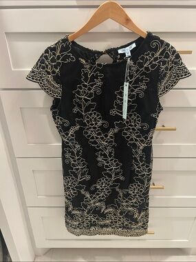 She + Sky Black Dress with Cream Floral Embroidery